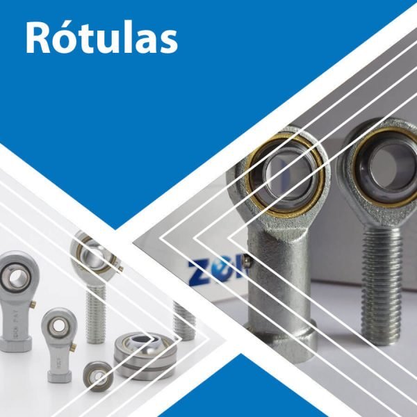 06 - Rótulas